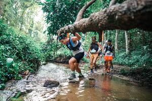 BIB: 
                            <button type="button" onclick="openModal(25369920)" class="btn btn-primary btn-sm float-right btn-popup" data-toggle="modal" data-target=".modal-high-quality">
                        <i class="fas fa-shopping-cart"></i> Add to Cart
                    </button>
                                            <button type="button" onclick="isThisMe(25369920, true)" class="btn btn-success btn-sm float-right btn-popup btn-isme hidden" data-toggle="tooltip" data-placement="bottom" title="นี่คือรูปของคุณใช่ไหม คลิกที่นี่เพื่อเอาเข้าอัลบั้ม">
                        <i class="fas fa-plus"></i> Add to album
                    </button>
                    <button type="button" onclick="isThisMe(25369920, false)" class="btn btn-warning btn-sm float-right btn-popup btn-isnotme hidden">
                        <i class="fas fa-ban"></i> Remove from album
                    </button>